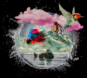 burbuja-mundo-burbuja-listo-para-instacrem