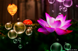 concepart-purple-and-organge