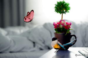 montaje-con-flores-full-para-instacrem